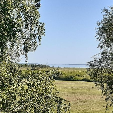 Tuule Villa Kuressaare Extérieur photo
